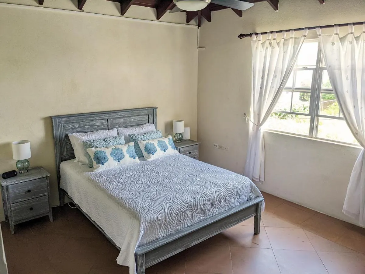 Breezy Ocean Front Condo Close To The Best Beaches Κράιστ Τσερτς Διαμέρισμα